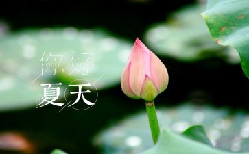 关于夏的调查报告6篇