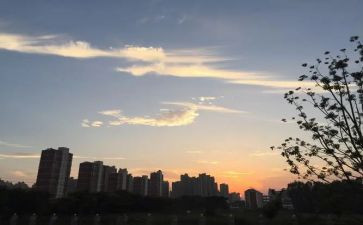 9下班主任工作计划推荐7篇
