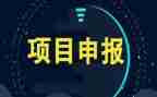 学习项目学习心得体会6篇