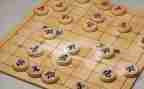 象棋的活动总结7篇