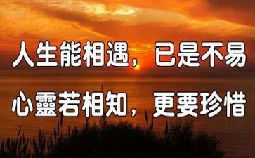 与书相遇初中作文5篇