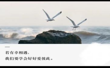 那一天我与相遇作文6篇