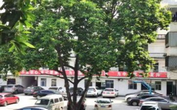 乡镇府个人述职报告8篇