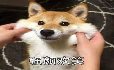 幼儿园微笑日活动方案5篇