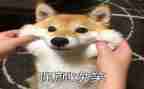 以微笑为演讲主题的演讲稿6篇