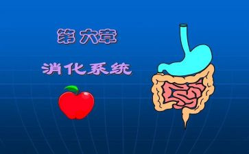 实习消化内科心得体会5篇