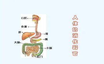 消化护理工作总结5篇