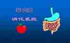 实习消化内科心得体会5篇