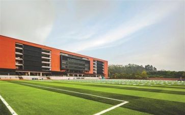 以文化进校园活动方案8篇