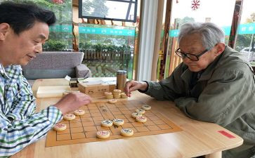 会下棋的我作文600字8篇