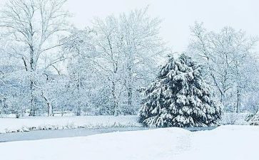 下雪的优秀作文5篇