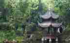 写物作文模板5篇