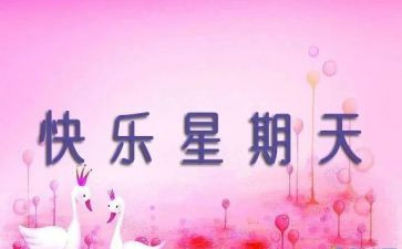 星期天教案8篇