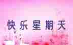 星期天教案8篇