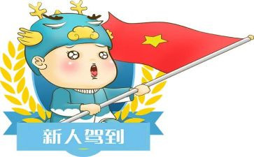 老师新人总结报告5篇