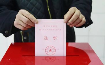 换届选举工作总结8篇