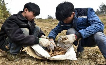 辍学生工作个人总结模板6篇