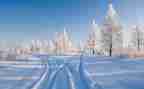 除雪组织调研报告6篇