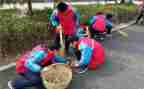 学雷锋活动总结50精选5篇