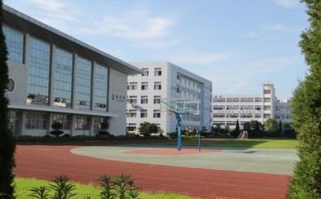 对学校心得体会范文7篇