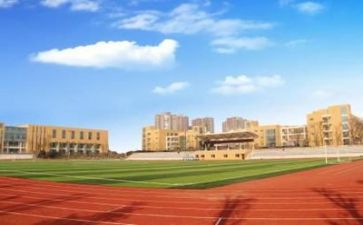 对学校的总结报告优质6篇