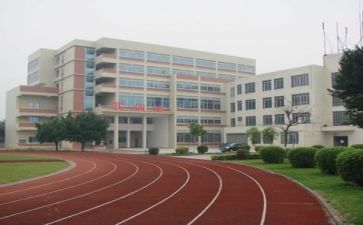 学校调研报告模板5篇