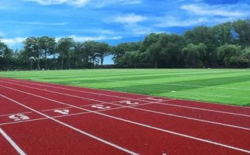 学校年度工作计划8篇