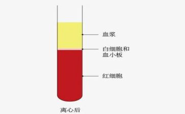 血液科护士个人总结6篇