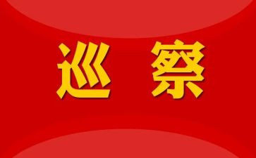巡察中述职报告7篇