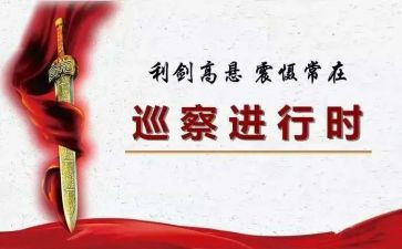 第巡察组工作总结优质6篇