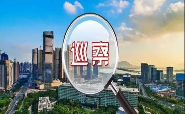 2024年巡察组组长述职报告7篇