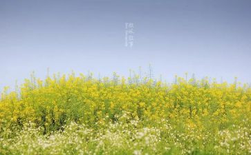叙事作文高中800字6篇