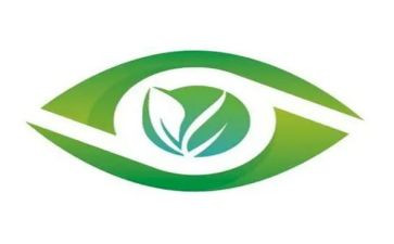 爱眼日主活动总结5篇