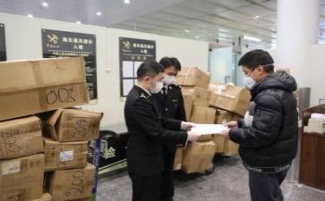 2024年试验员工作总结优质5篇