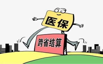 医保局工作总结范文5篇
