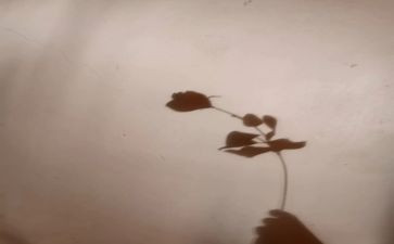 盲孩子与他的影子教案6篇