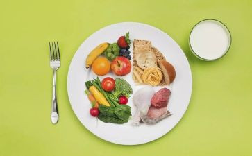 饮食演讲稿最新6篇