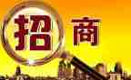 赴招商引资汇报材料7篇
