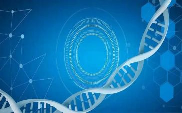 医学报告述职范文7篇