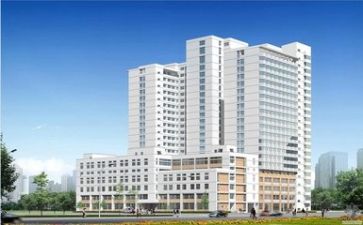 2024医院工作总结范文7篇