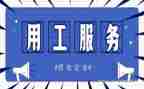 会计试用工作总结8篇
