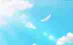 永恒的爱作文800字作文6篇