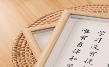 树的应用心得体会最新7篇