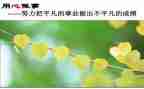党员的作用心得体会7篇