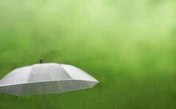 雨中情作文400字7篇