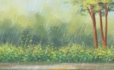 雨来的故事演讲稿优秀6篇