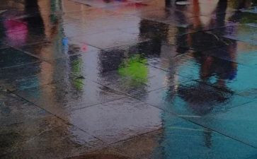 雨的主题活动方案8篇