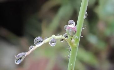 秋天的雨作文500字模板8篇