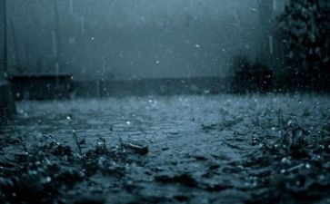 春雨作文作文模板8篇