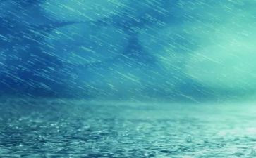 关于雨的作文600字参考8篇
